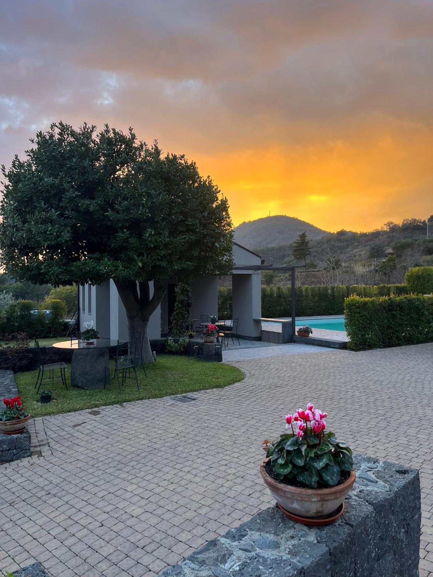 La Casa Dell'Alloro Zafferana Etnea Kültér fotó